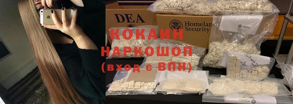 крисы Богородицк