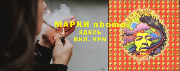 амф Богданович