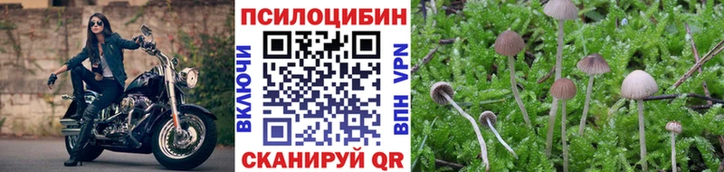 Псилоцибиновые грибы Cubensis  маркетплейс телеграм  Реж  купить наркоту 